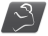 Cruiser Skiveez Icon